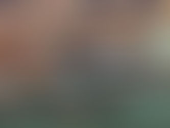 Porto de Livorno: Fatos e curiosidades