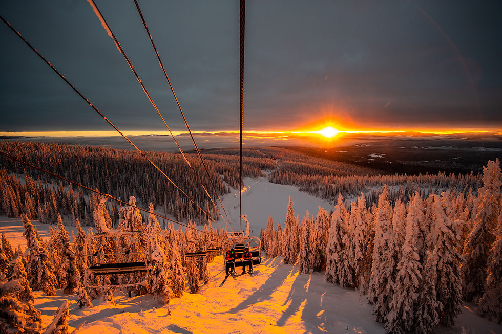 bigwhite.jpg