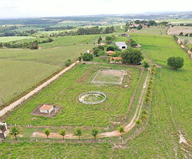 Haras - Km 99 Rod. Castelo Branco HA 17