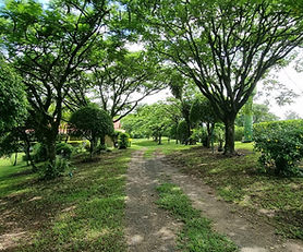 Sítio - Tiete / Porto Feliz - ST 33