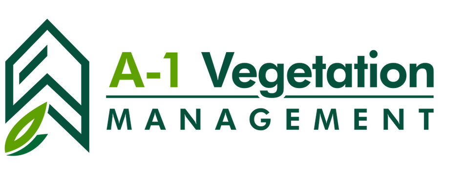 NEW VEG LOGO PNG.png