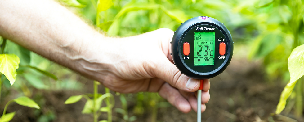 Untitled (4.5 x 11 in) (6 x 4 in)-40.png