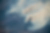 shutterstock_2233548515.jpg