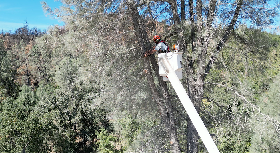 Screenshot 2023-10-19 at 3.53.01 PM.png