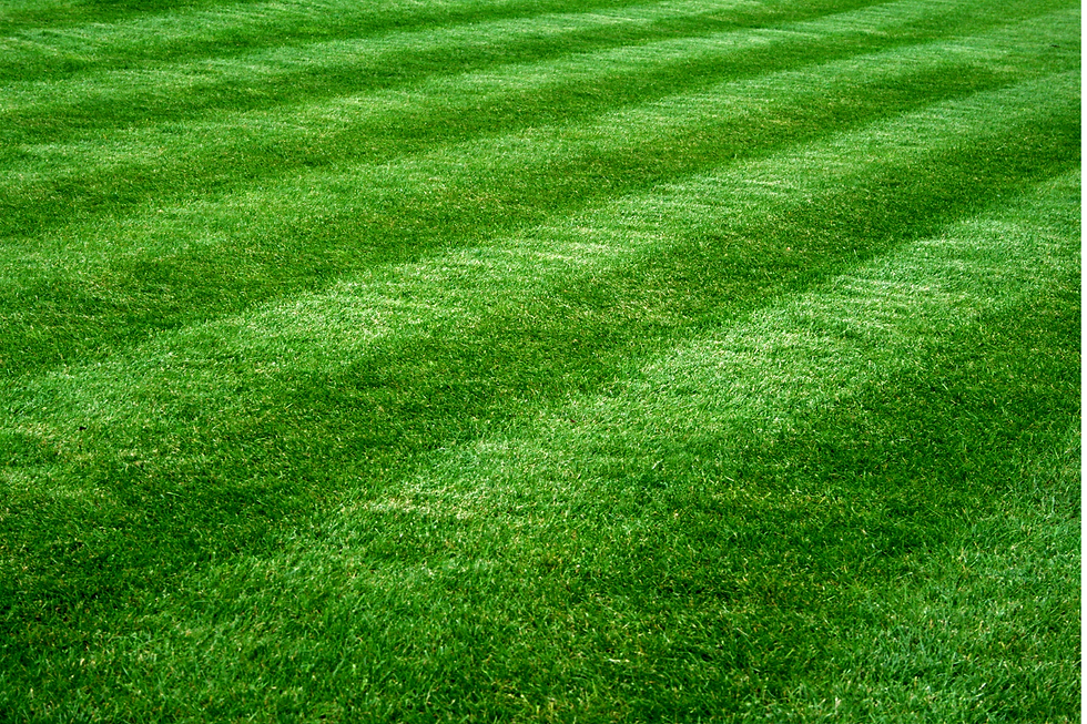 Untitled (4.5 x 11 in) (6 x 4 in)-53.png