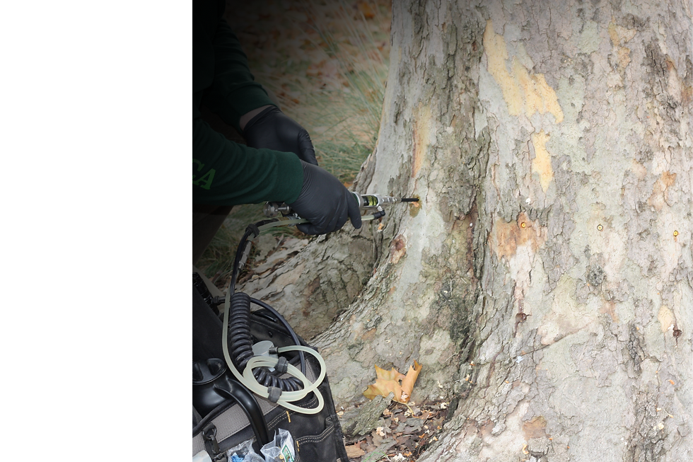 Untitled (4.5 x 11 in) (6 x 4 in).png