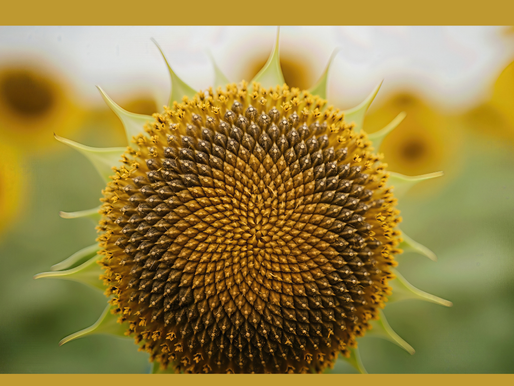 Когато работата със себе си се усеща като въртене в кръг