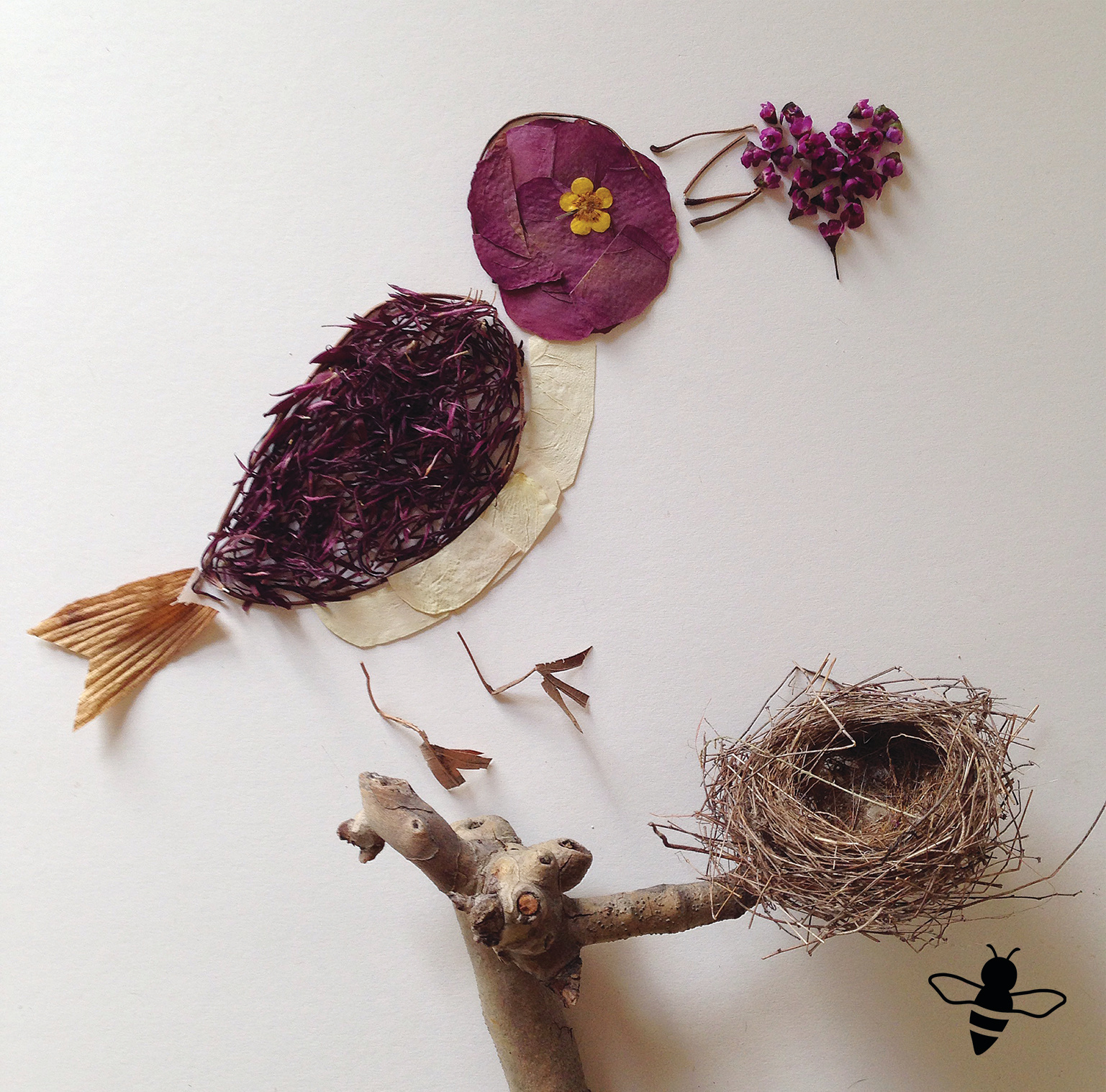 Bird And Heart