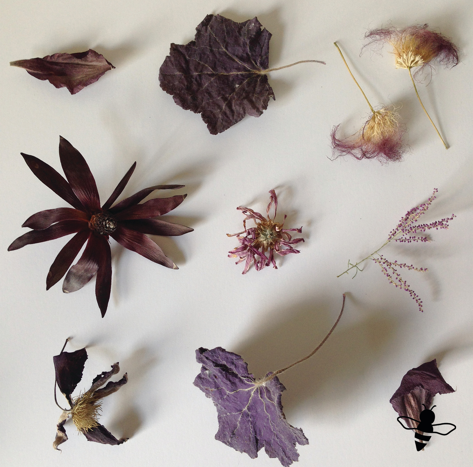 Purple Composition