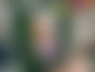 クーポンプレゼント(先着順)