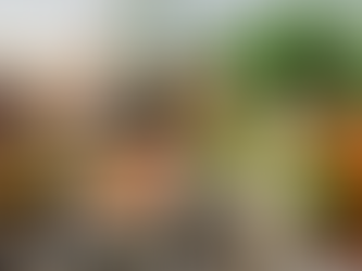 diet and eczema healthy foods for skin support