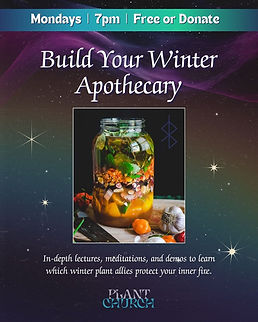 Build Your Winter Apothecary.jpg