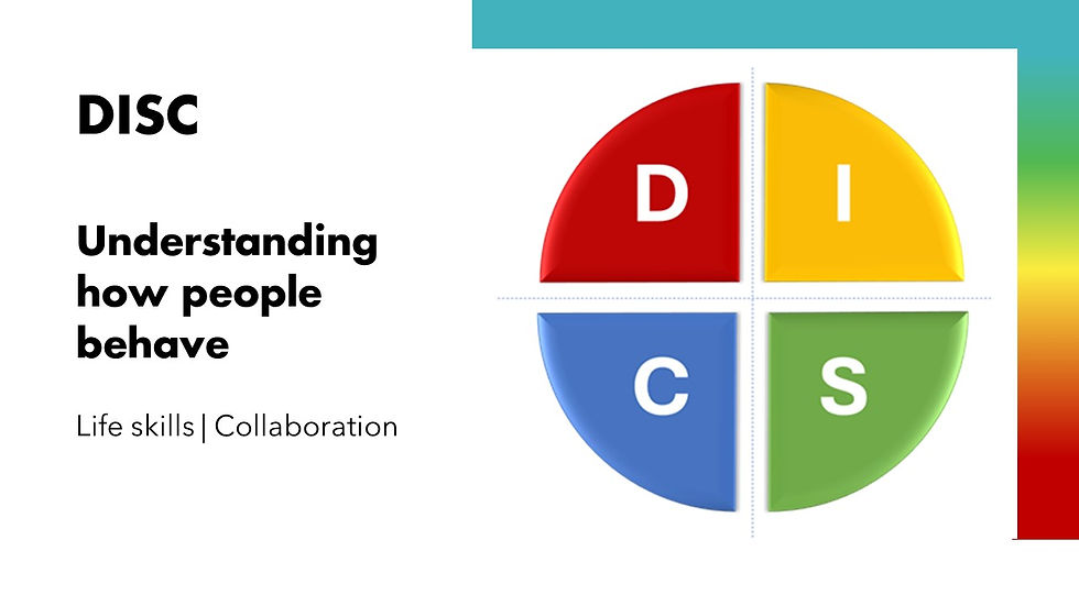 DISC - Understanding How People Behave