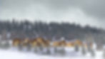 vue des 7 Chalets de la Grande ourse