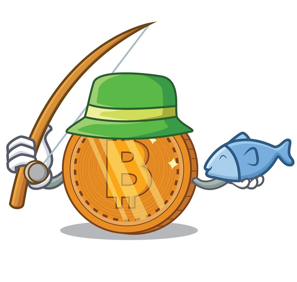 Casting a view on Crypto.