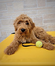 thumbnail_20211004_120643-01.jpg