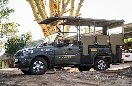 buckler's-africa-lodge-game-drive-vehicle.png