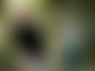 【楽曲提供】5/29 ほーみーず「読書感想文」