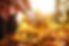 Fall-clean-up-scaled-1.jpg