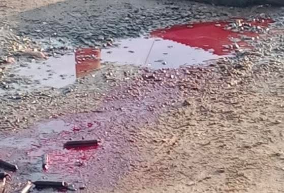 Imagem do local onde cão foi decapitado em São Leopoldo, com vestígios de sangue e velas pretas