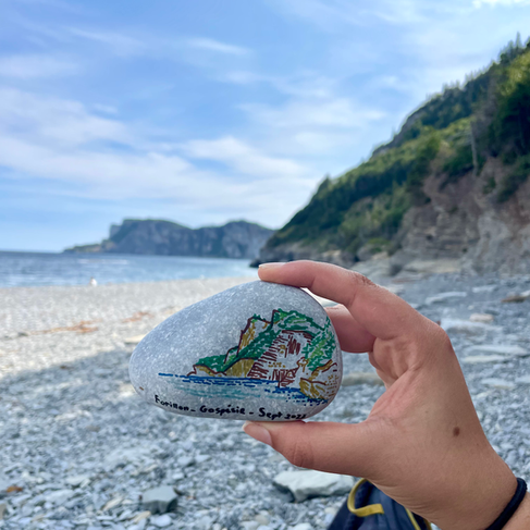painting on a rock with a beach in the background