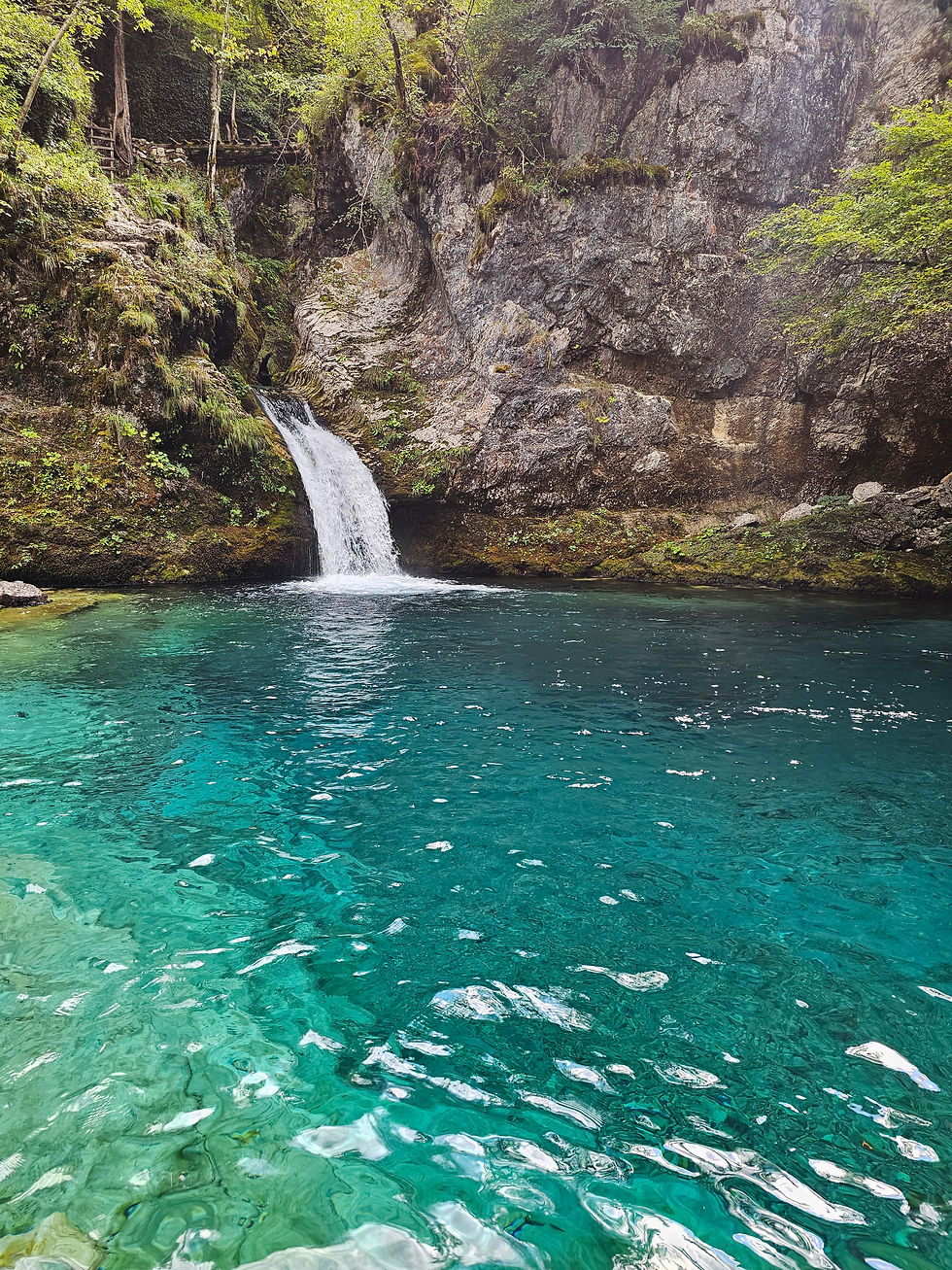 Waterfall cascading into a turquoise pool, surrounded by lush greenery and rocky cliffs under a soft light, creating a serene scene.