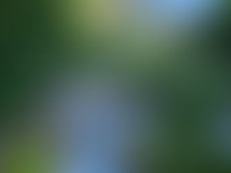 Mountain view with a river in Valbonë Albania