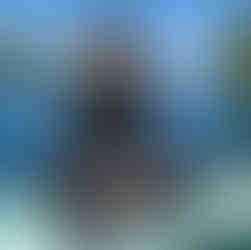 Paddle Boarding above the shipwrecks.