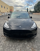 Auto, Single-Speed Fixed Gear