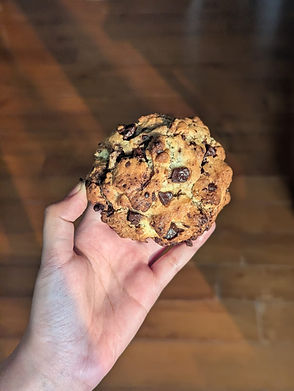 WhatsApp Image 2026-01-31 at 8.32.20 PM.jpeg