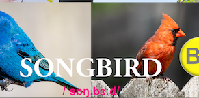 Weekly word - Songbird