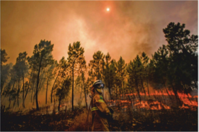 Notice - updates of Extra reading materials