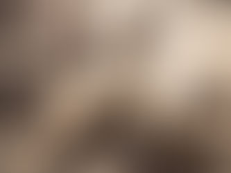 Other European languages training - 欧洲其它语言培训