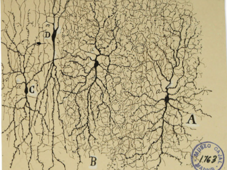 Notice - updates of academic reading materials