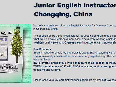 Job offer - Summer internship