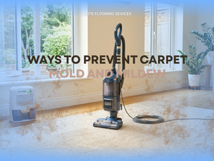 Professional carpet cleaning in Haslet TX to help prevent carpet mold and mildew
