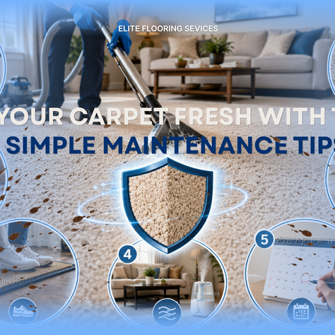Professional carpet cleaning and carpet maintenance in a Haslet TX home