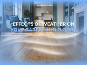 Texas weather can be tough on your floors. From tracked-in mud and dust to humidity and longer drying times, Haslet homeowners face unique carpet-care challenges. Learn how weather affects your carpet, what happens during professional cleaning, and how to prepare your home for a better result.