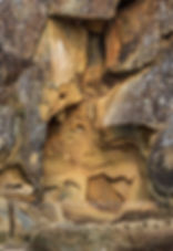 Sandstone Face