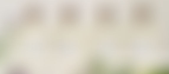 POLO EARTH 地球淡香水