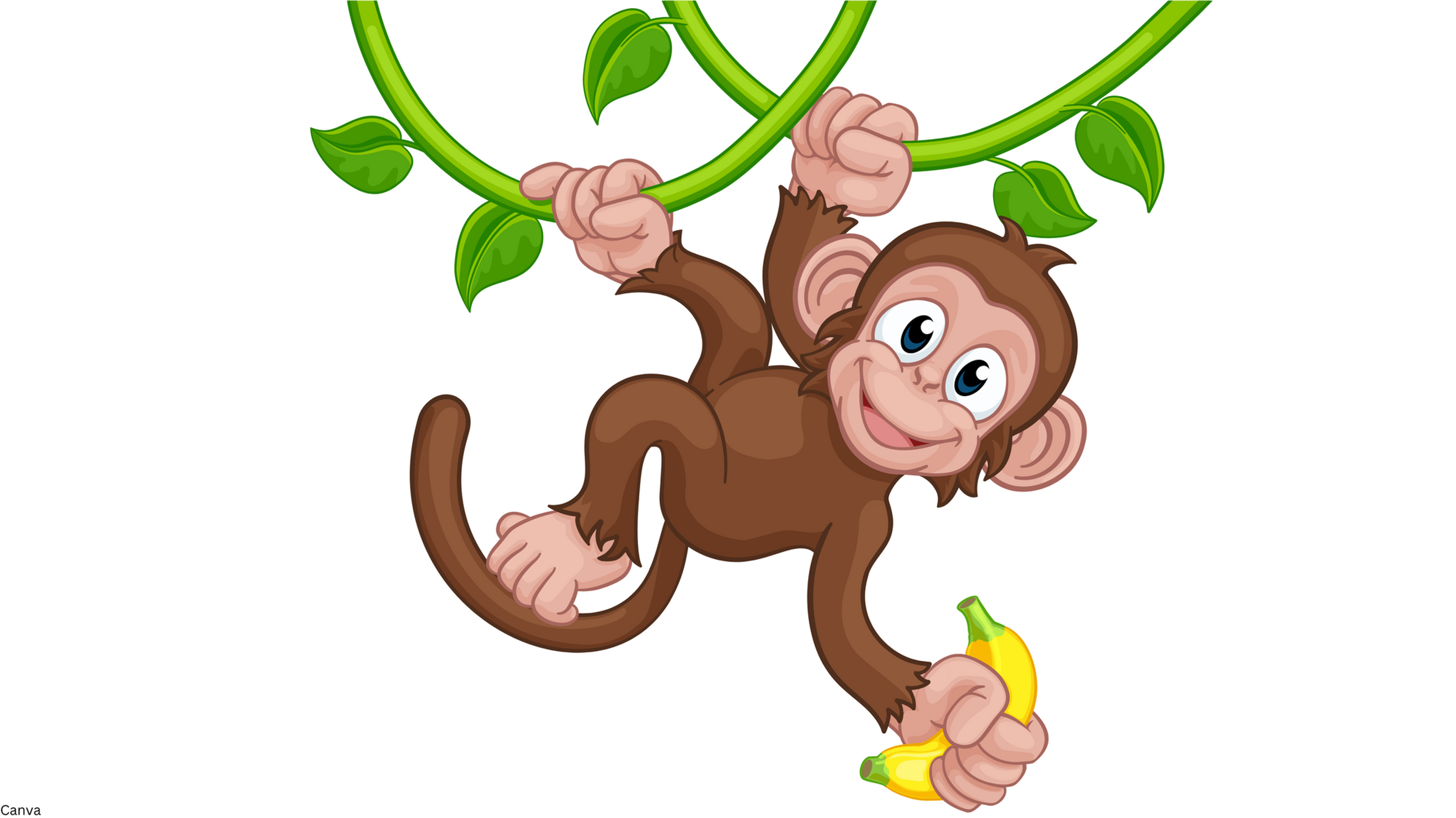 Monkey Around 11" Premium Hand Dipped Incense Sticks