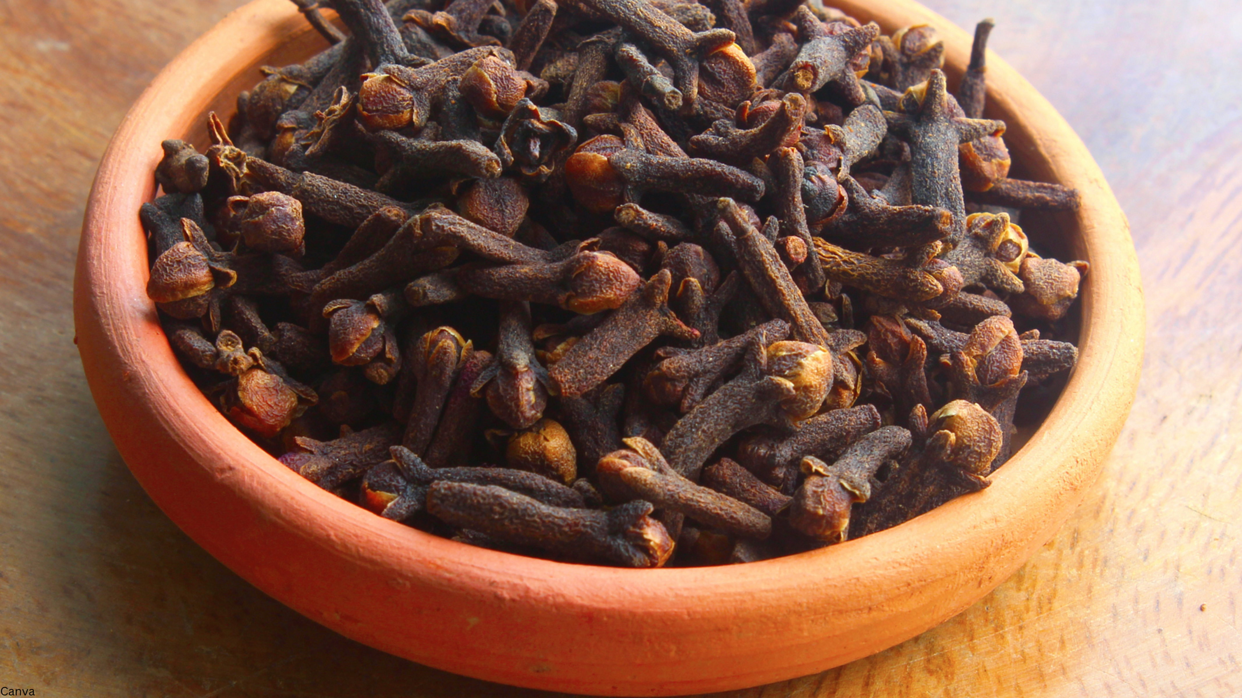 Clove 11" Premium Hand Dipped Incense Sticks