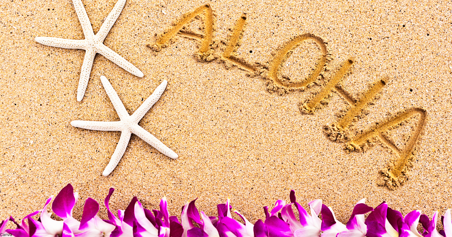 Aloha 11" Premium Hand Dipped Incense Sticks