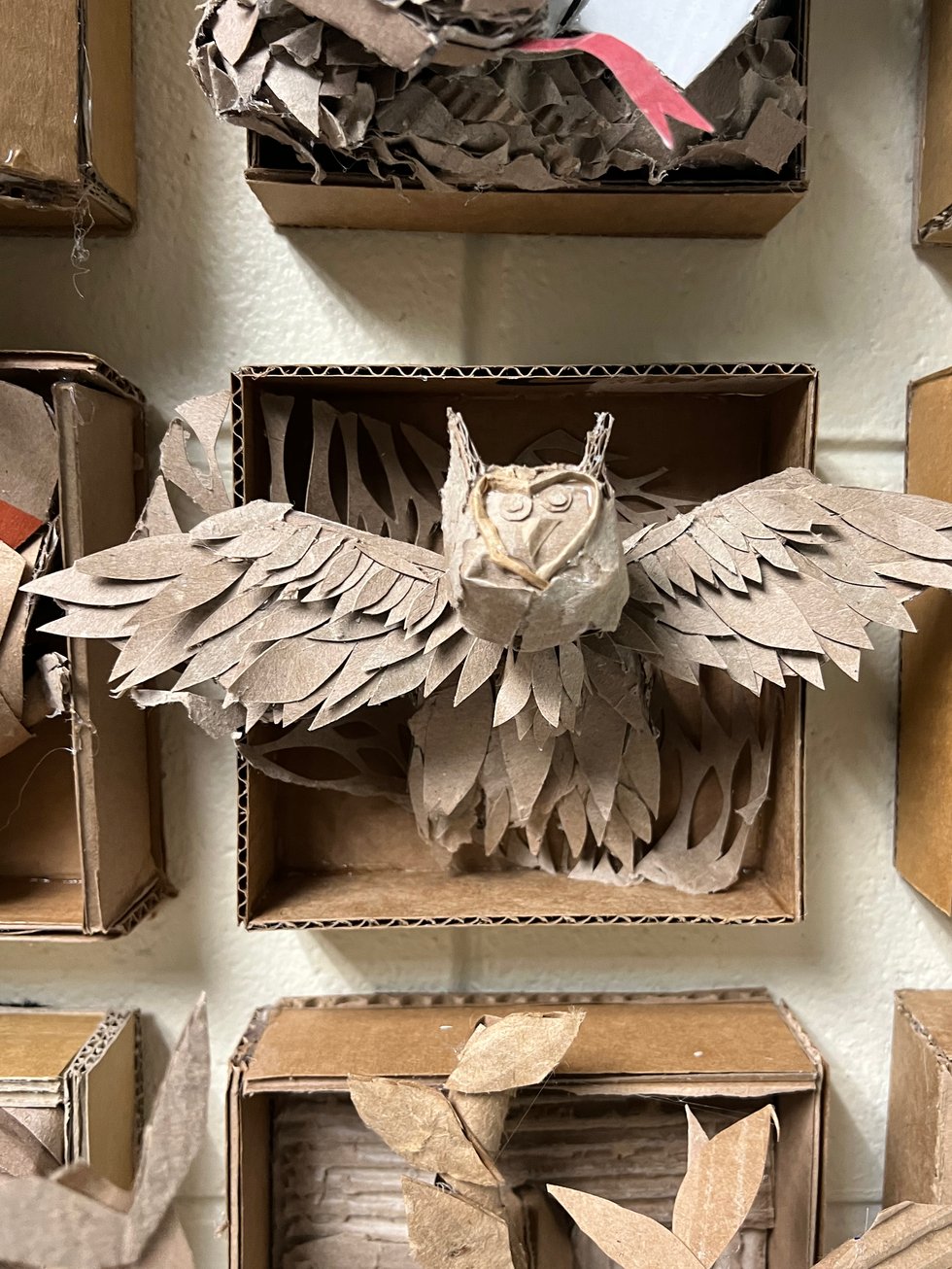 Owl in Texture