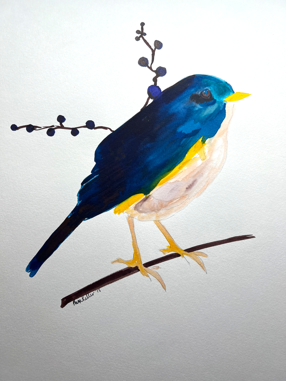 Blue Bird