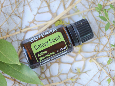 Celery Seed (Selleriesamen)