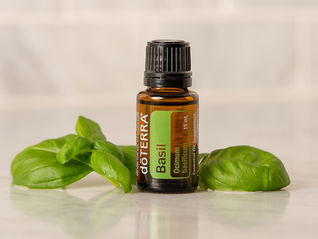 Basil (Basilikum)