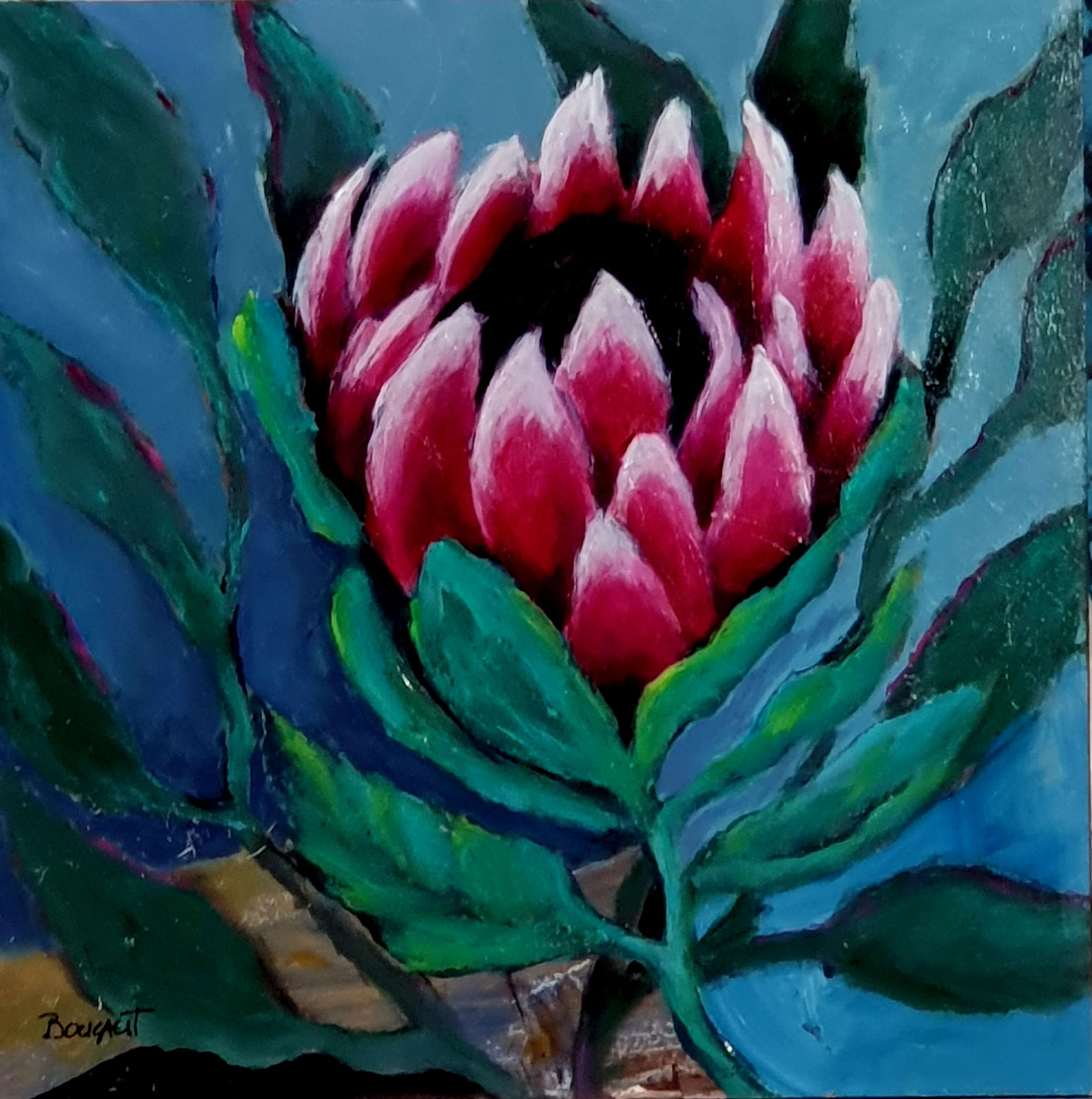 Pink Protea