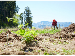 アウトドアを学び、自然とつながる2日間!11月1日(土)〜2日(日)in宮城県石巻市
