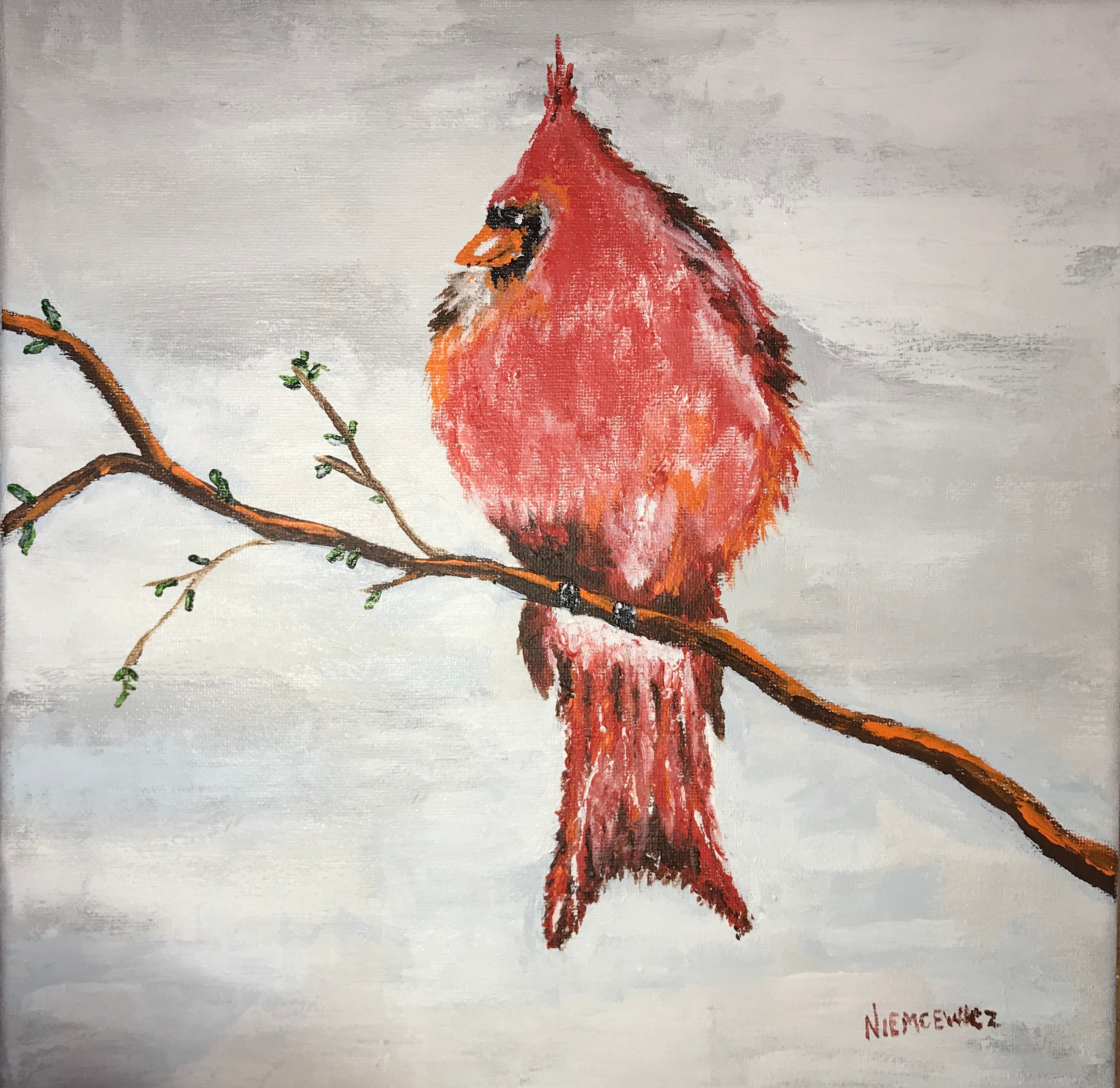 Mr. Cardinal